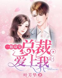 一胎双宝总裁娶一送二65结局